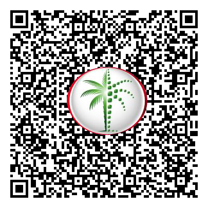Permit QR Code