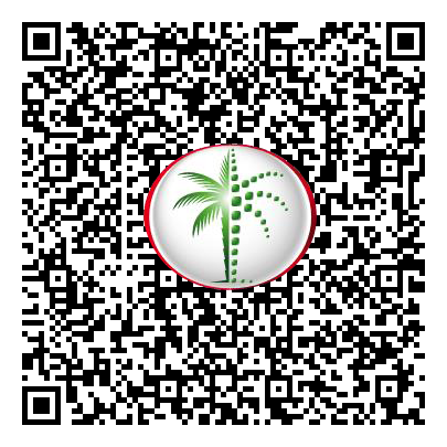 Permit QR Code