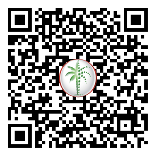 DLD QR Code