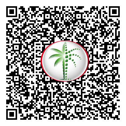 Permit QR Code