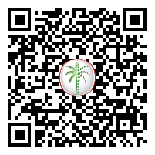 DLD QR Code