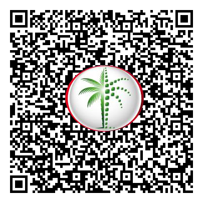 Permit QR Code