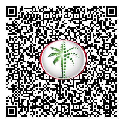 Permit QR Code