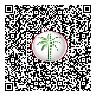 Permit QR Code