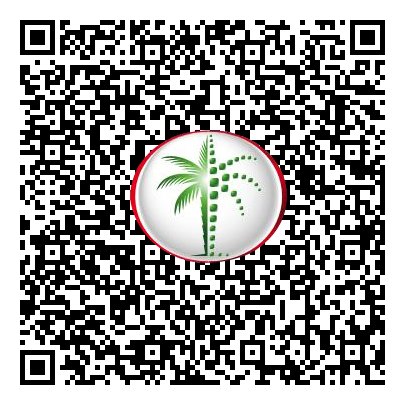 Permit QR Code