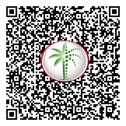 Permit QR Code