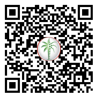 DLD QR Code