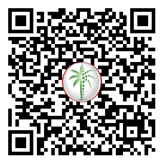 DLD QR Code
