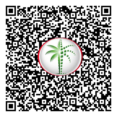 Permit QR Code
