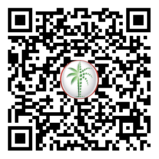 DLD QR Code