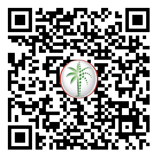 DLD QR Code