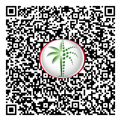 Permit QR Code