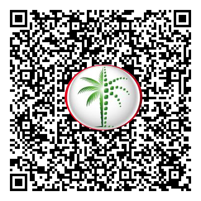 Permit QR Code