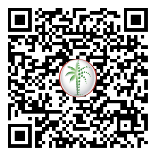 DLD QR Code