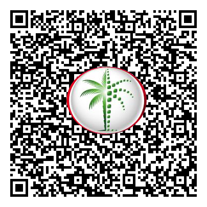 Permit QR Code