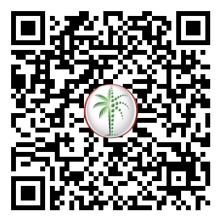 DLD QR Code