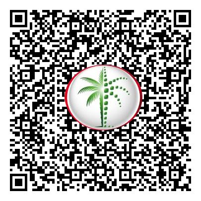 Permit QR Code