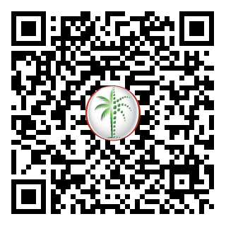 DLD QR Code