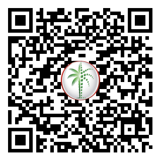 DLD QR Code