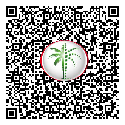 Permit QR Code
