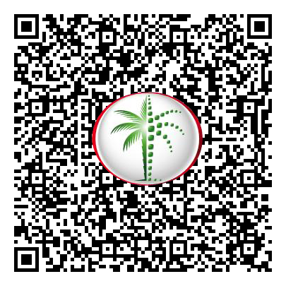Permit QR Code