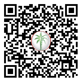 DLD QR Code
