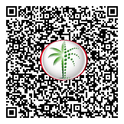 Permit QR Code