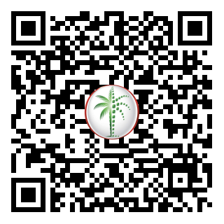 DLD QR Code