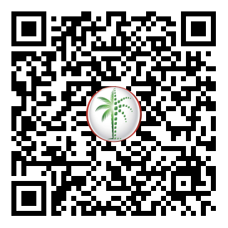 DLD QR Code