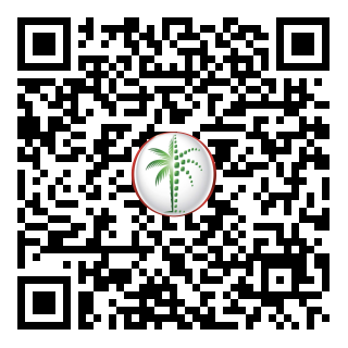 DLD QR Code