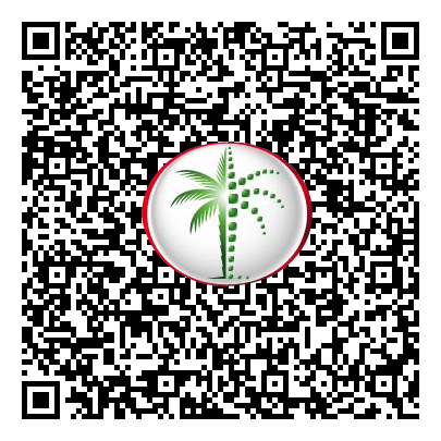 Permit QR Code