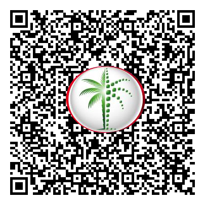 Permit QR Code