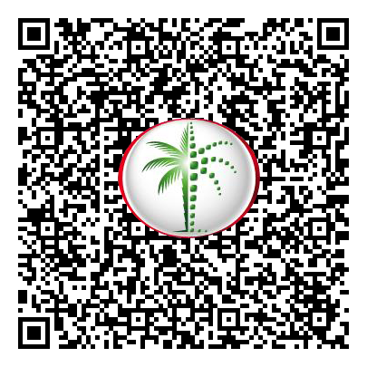 Permit QR Code
