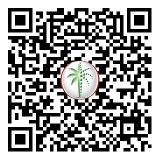 DLD QR Code