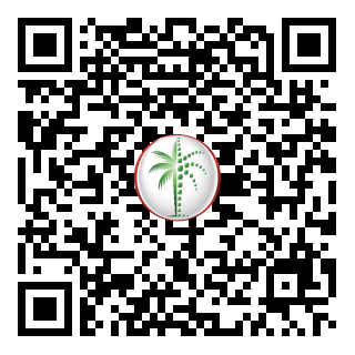 DLD QR Code