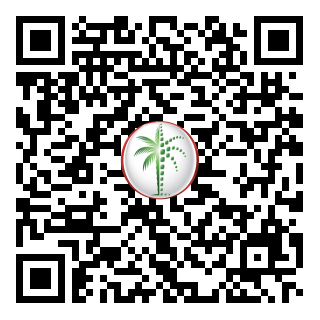 DLD QR Code