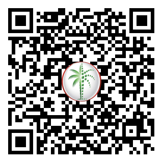 DLD QR Code