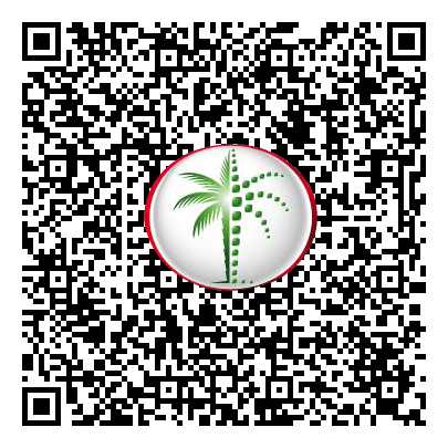 Permit QR Code