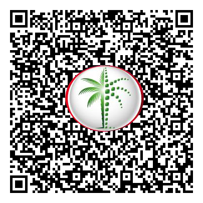 Permit QR Code