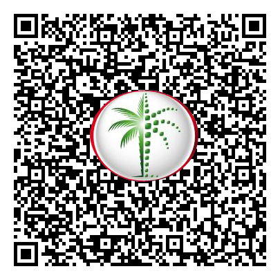 Permit QR Code