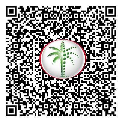 Permit QR Code