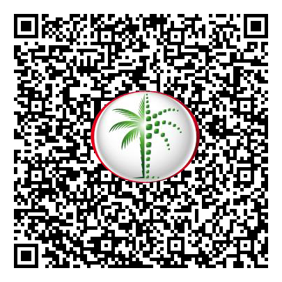 Permit QR Code