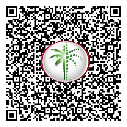 Permit QR Code