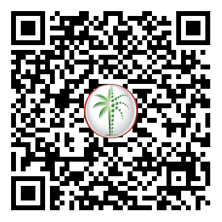 DLD QR Code