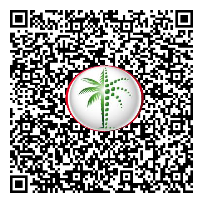 Permit QR Code