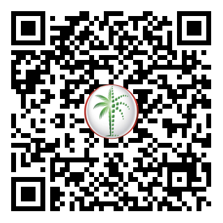 DLD QR Code