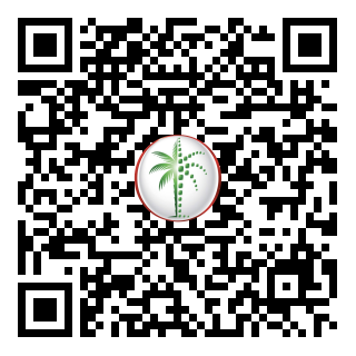 DLD QR Code
