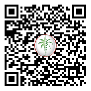 DLD QR Code