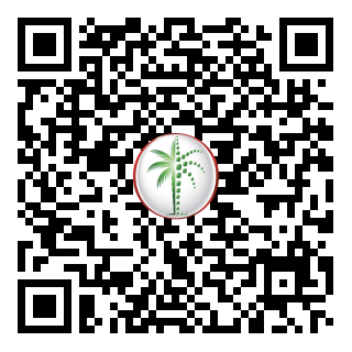 DLD QR Code