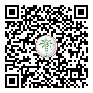 DLD QR Code